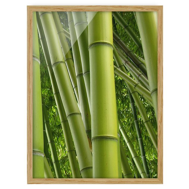 Quadros com moldura flores Bamboo Trees No.2