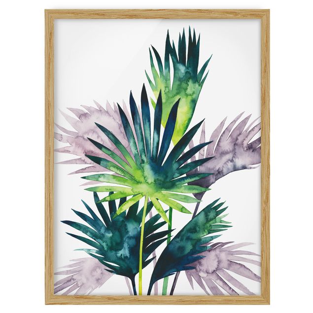 quadros flores Exotic Foliage - Fan Palm