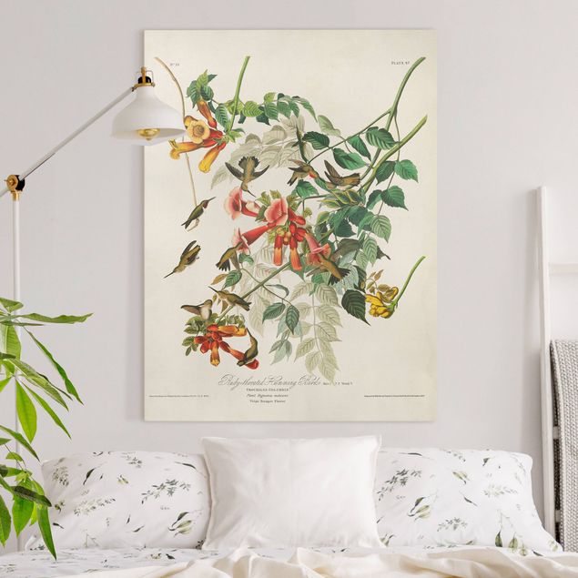 decoraçao para parede de cozinha Vintage Board Hummingbirds