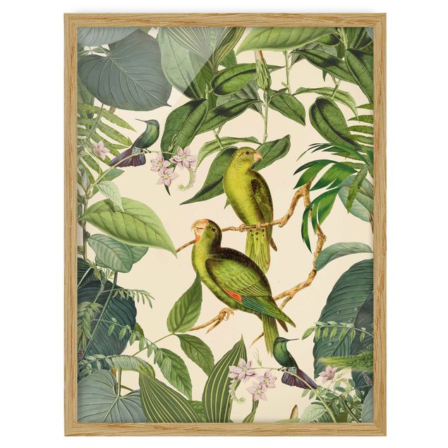 Quadros florais Vintage Collage - Parrots In The Jungle