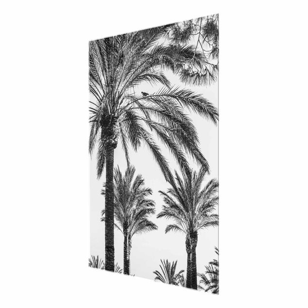 Quadros florais Palm Trees At Sunset Black And White