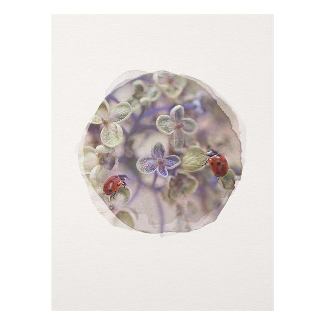 quadros de flores WaterColours - Ladybugs In The Garden