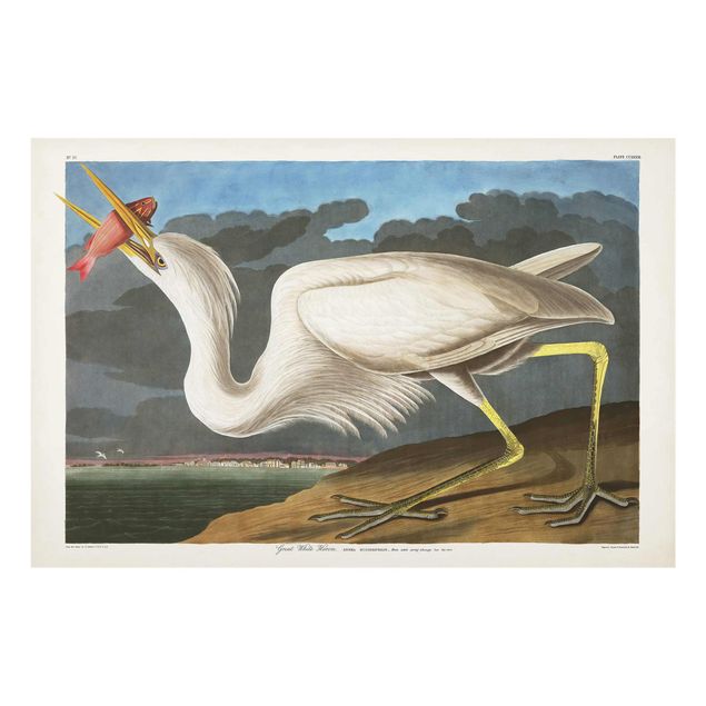 Quadros vintage Vintage Board Great White Egret