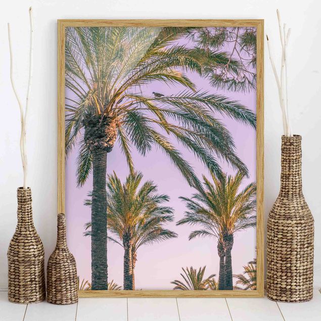 decoraçao para parede de cozinha Palm Trees At Sunset