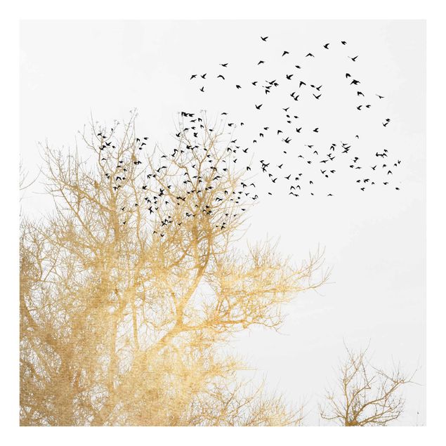 Quadros em vidro animais Flock Of Birds In Front Of Golden Tree