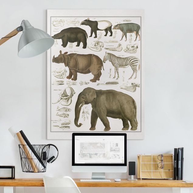 Telas decorativas elefantes Vintage Board Elephant, Zebra And Rhino
