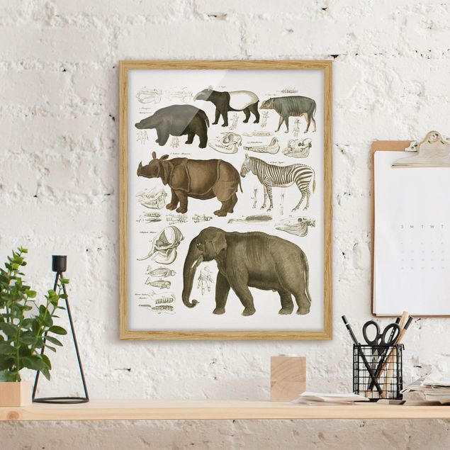 decoraçoes cozinha Vintage Board Elephant, Zebra And Rhino