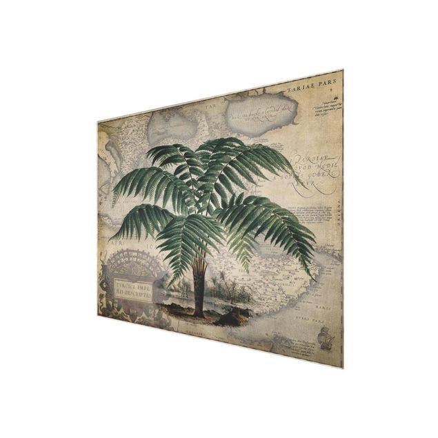 Quadros verdes Vintage Collage - Palm And World Map