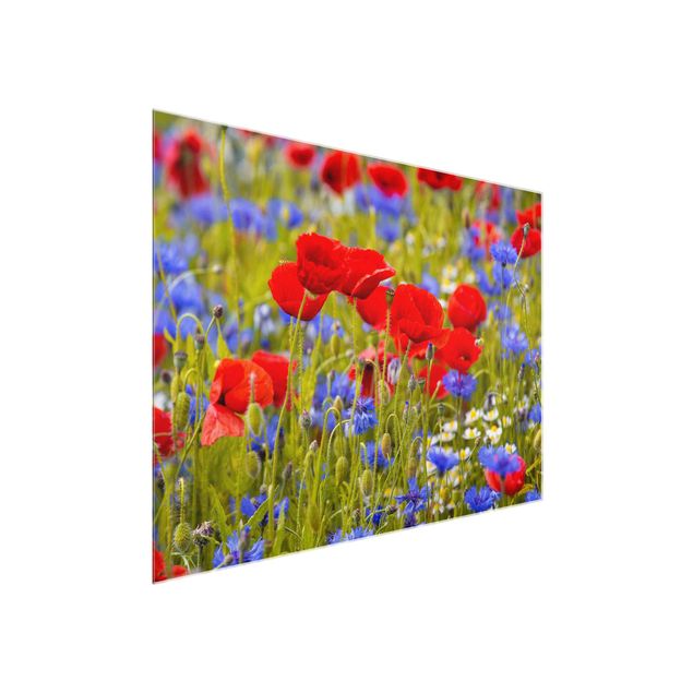 Quadros em vidro flores Summer Meadow With Poppies And Cornflowers