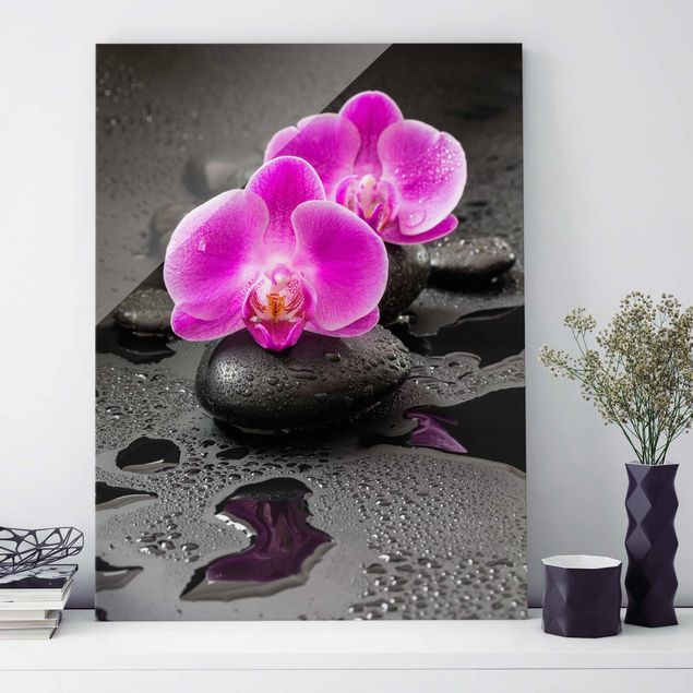 Quadros em vidro de orquídeas Pink Orchid Flower On Stones With Drops