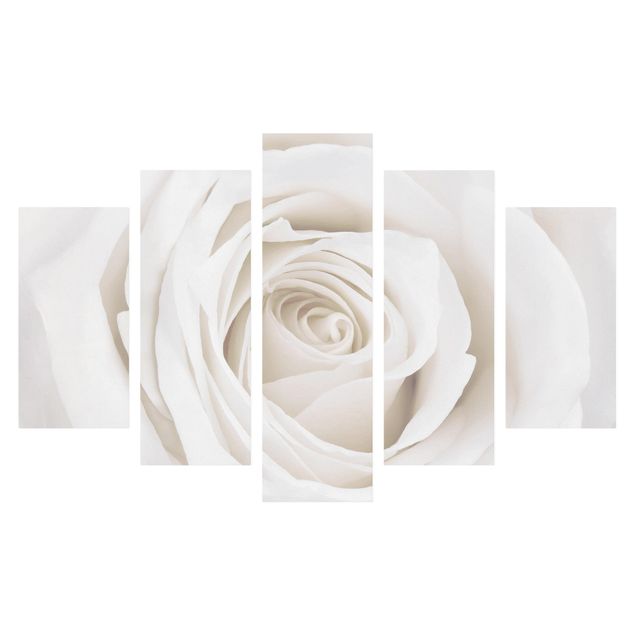 Telas decorativas flores Pretty White Rose