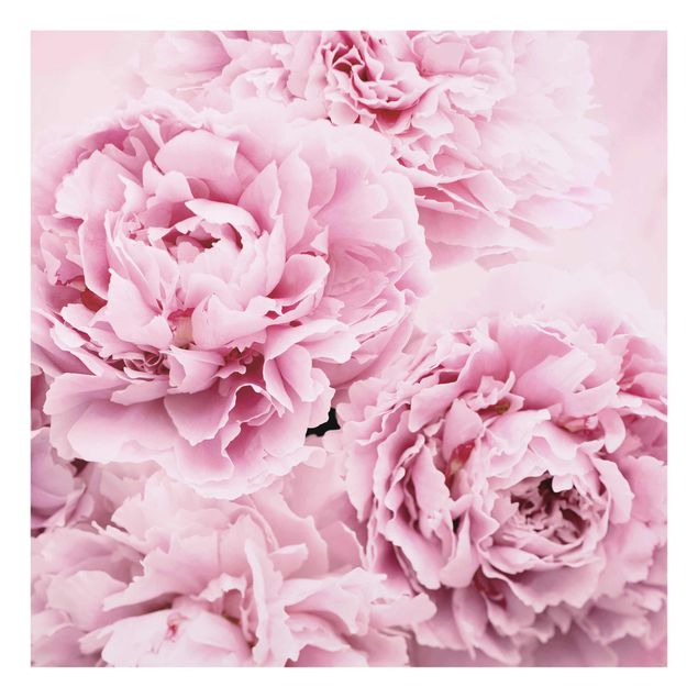 Quadros florais Pink Peonies