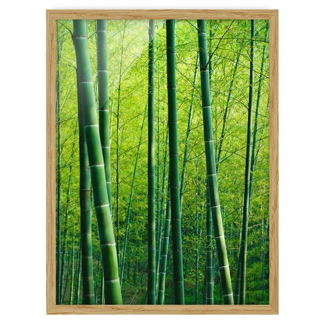 quadros de paisagens Bamboo Forest