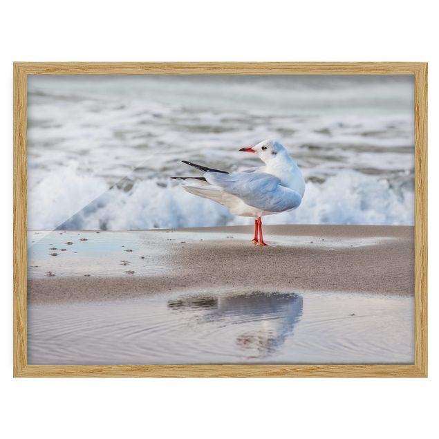 quadro de praia Seagull On The Beach In Front Of The Sea
