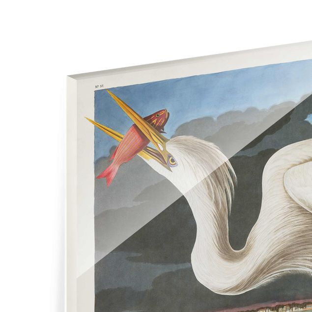 quadro de vidro Vintage Board Great White Egret