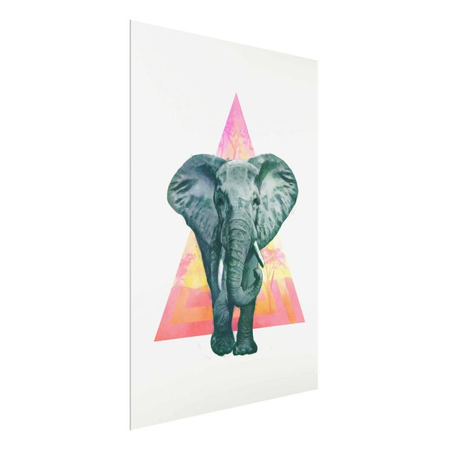 Quadros em vidro animais Illustration Elephant Front Triangle Painting