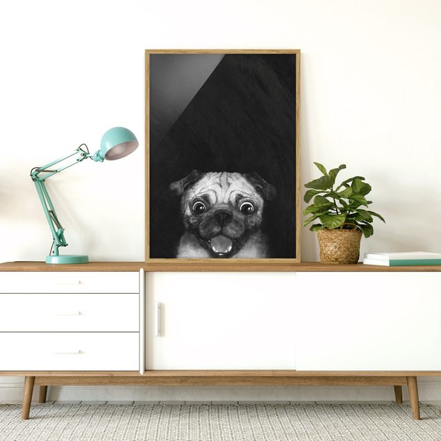Quadros com moldura em preto e branco Illustration Dog Pug Painting On Black And White