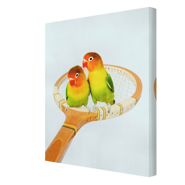 Telas decorativas animais Tennis With Birds