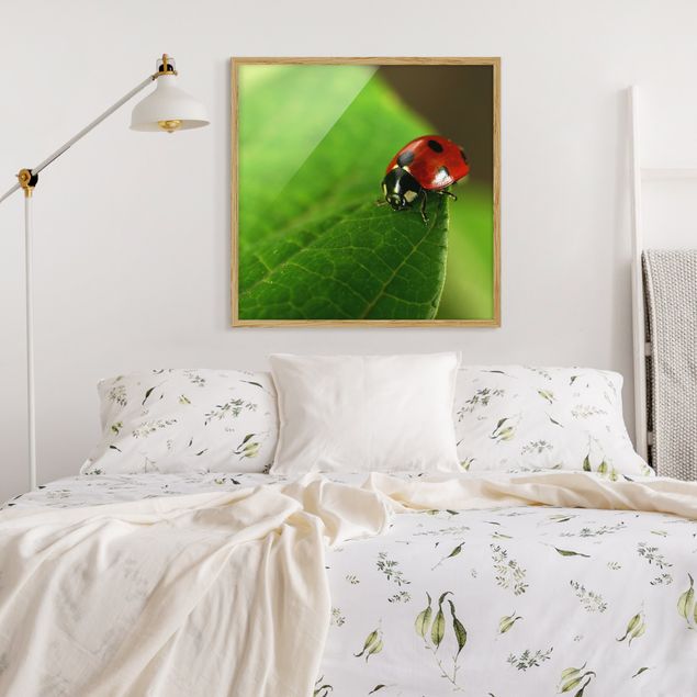 quadros decorativos para sala modernos Lady Bird