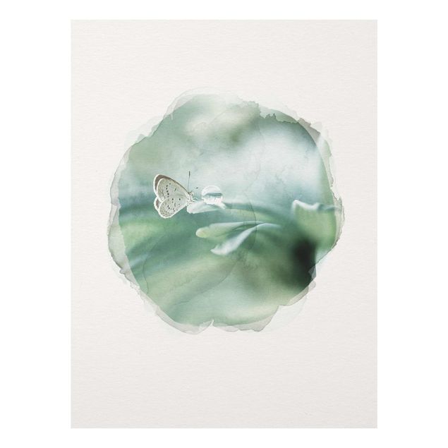 Quadros florais WaterColours - Butterfly And Dew Drops In Pastel Green