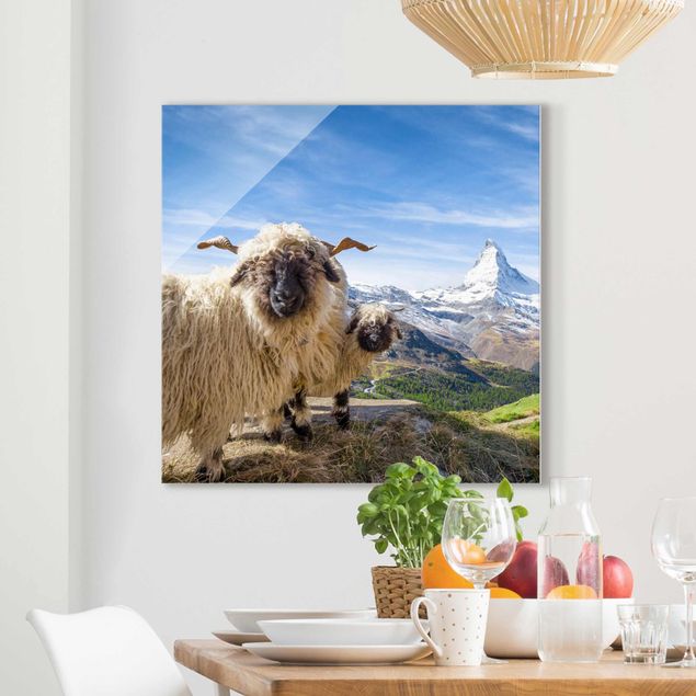 decoraçoes cozinha Blacknose Sheep Of Zermatt