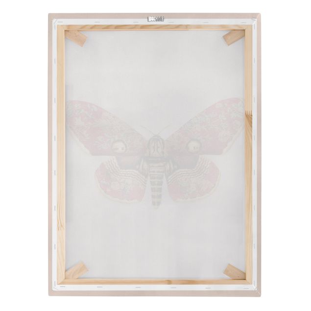 decoração quadros Vintage Moth