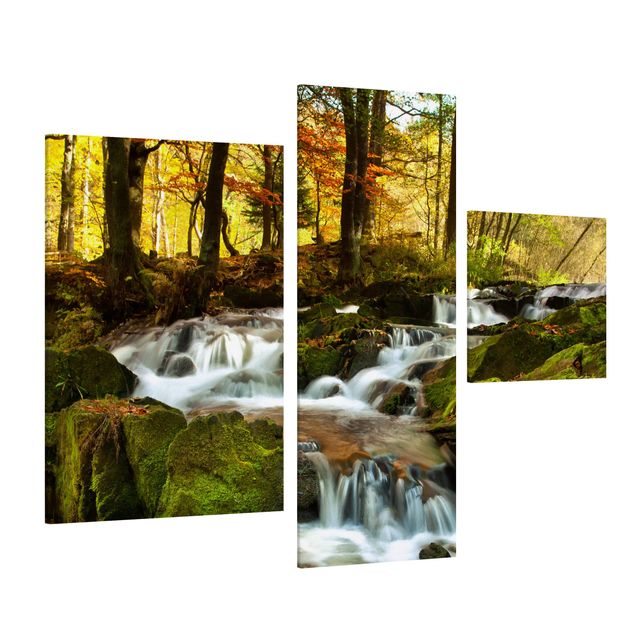 quadro de árvore Waterfall Autumnal Forest