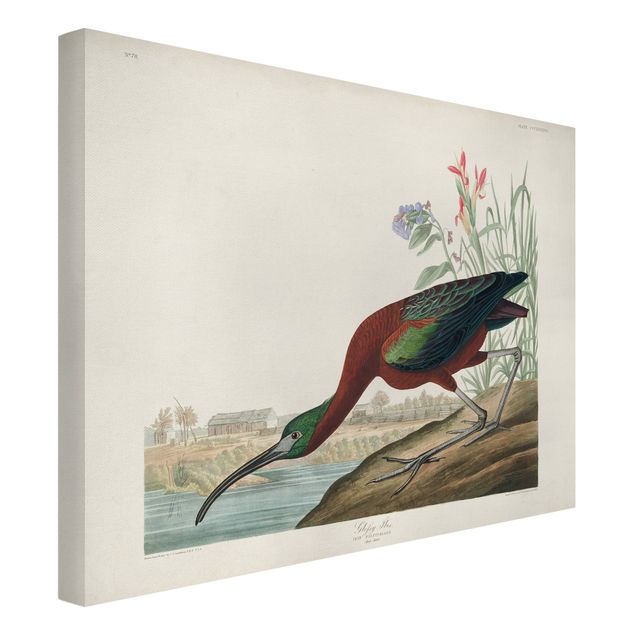 Telas decorativas animais Vintage Board Brown Ibis
