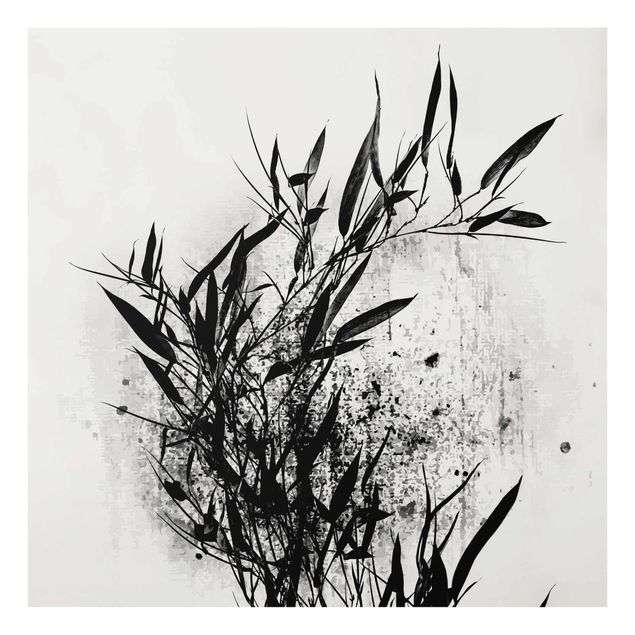 Quadros em vidro flores Graphical Plant World - Black Bamboo