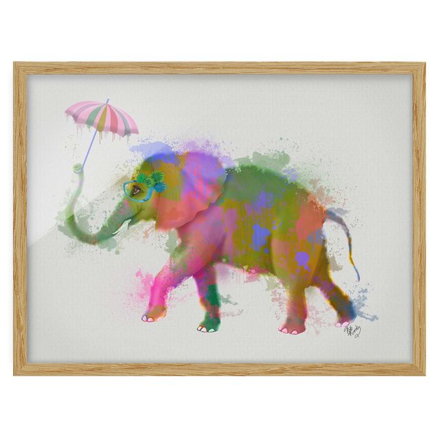 Quadros com moldura animais Rainbow Splash Elephant