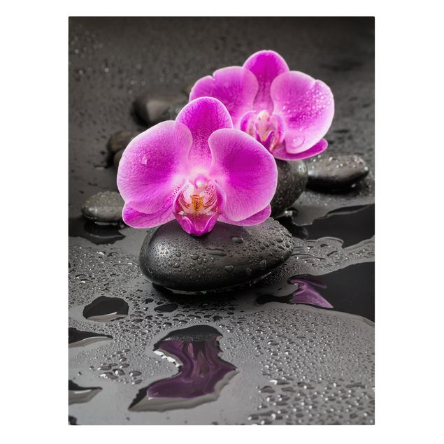 Telas decorativas réplicas de quadros famosos Pink Orchid Flower On Stones With Drops