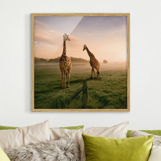 Quadros girafas Surreal Giraffes