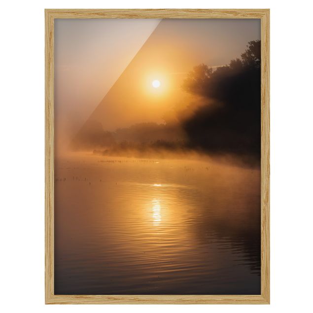 Quadros natureza Sunrise on the lake with deers in the fog