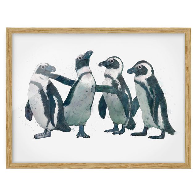 Quadros com moldura animais Illustration Penguins Black And White Watercolour