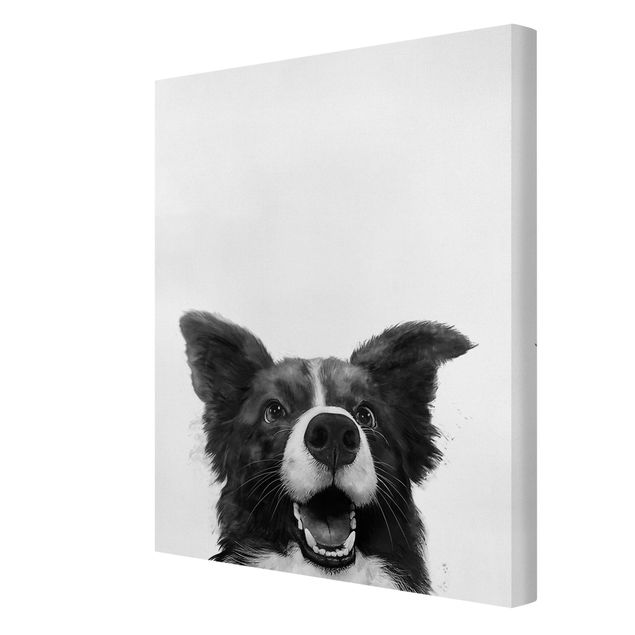 Telas decorativas em preto e branco Illustration Dog Border Collie Black And White Painting