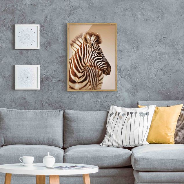 Quadros com moldura animais Zebra Baby Portrait