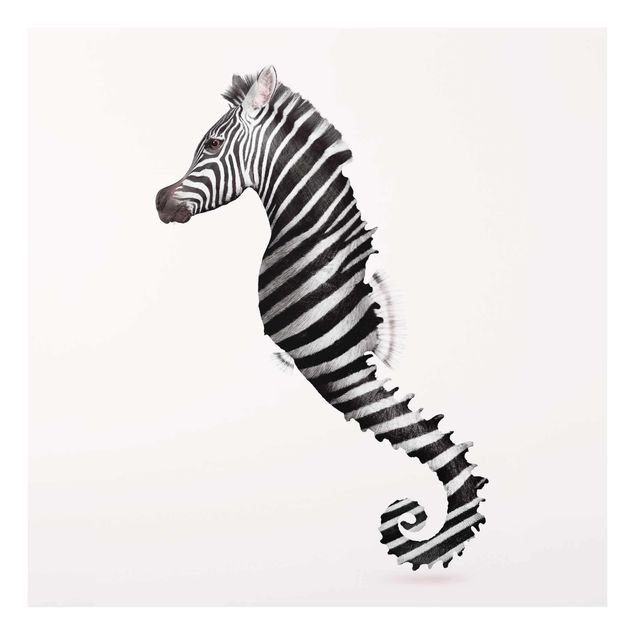 Quadros zebras Seahorse With Zebra Stripes