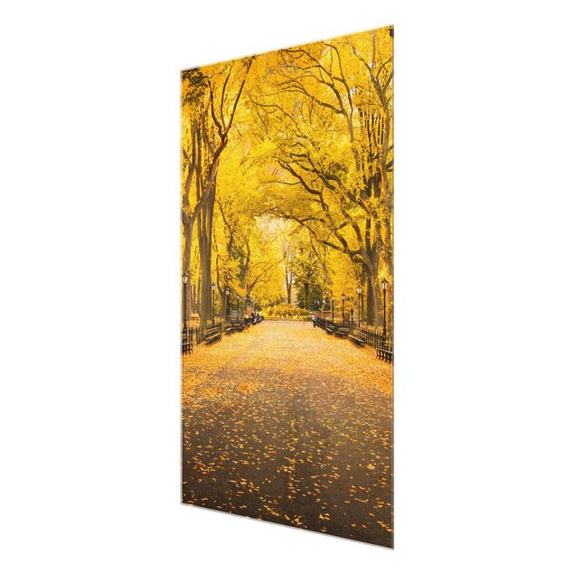 quadros decorativos para sala modernos Autumn In Central Park