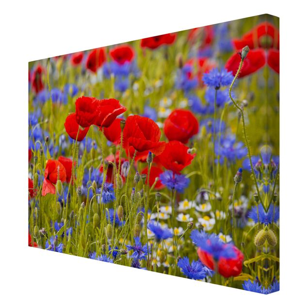Quadros florais Summer Meadow With Poppies And Cornflowers