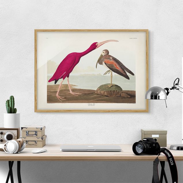 Quadros com moldura praia Vintage Board Red Ibis