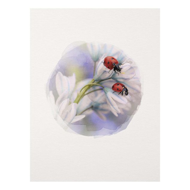 quadros de flores Water Colours - Ladybug Couple