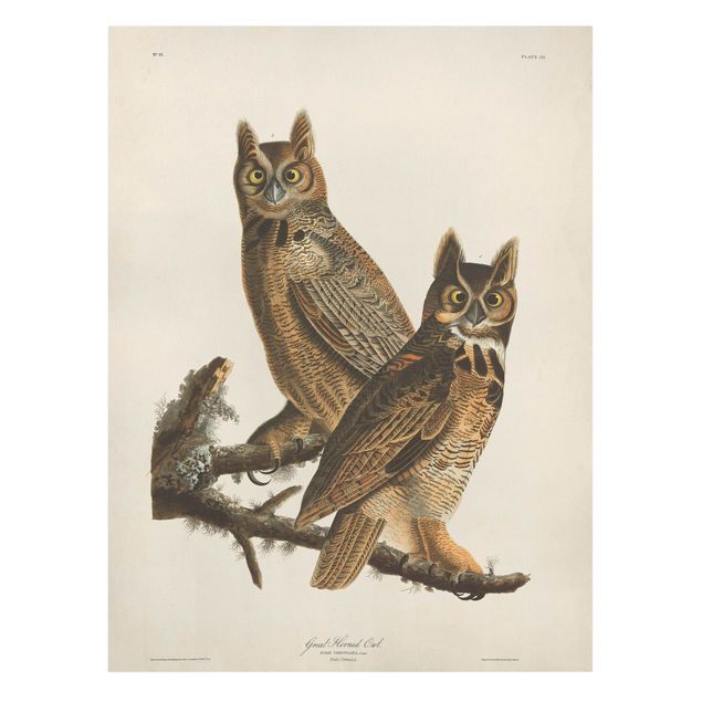 Quadros retro Vintage Board Two Large Owls