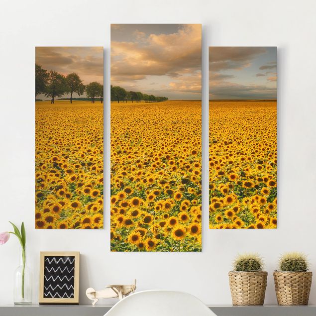 Quadros girassóis Field With Sunflowers