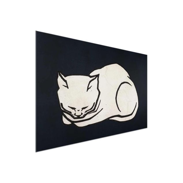 Quadros em vidro animais Sleeping Cat Illustration