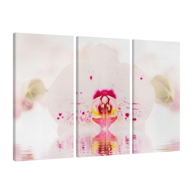 Telas decorativas flores Dotted Orchid On Water