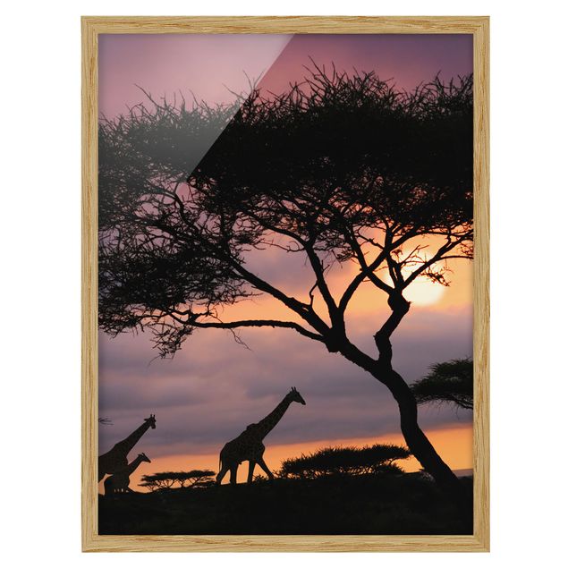 quadros de paisagens African Safari