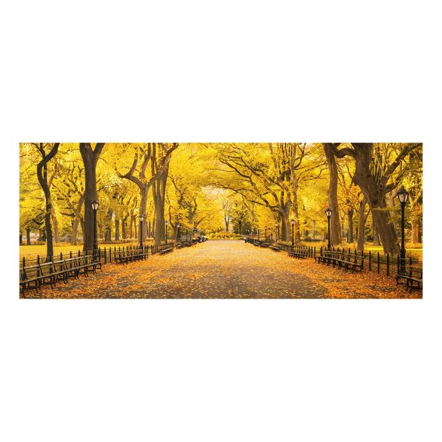 Quadros cidades Autumn In Central Park