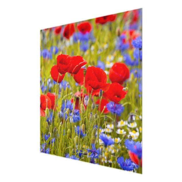 quadro com flores Summer Meadow With Poppies And Cornflowers