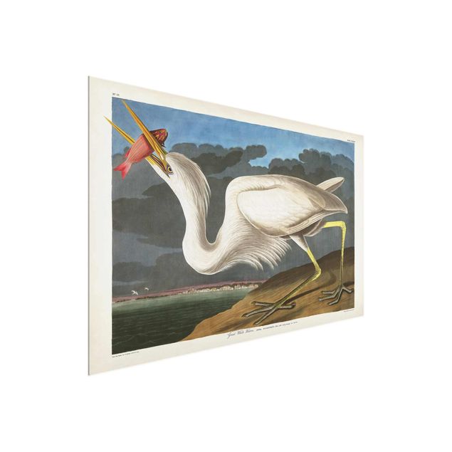 Quadros retro Vintage Board Great White Egret