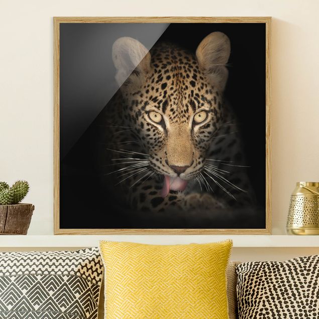 decoraçao para parede de cozinha Resting Leopard